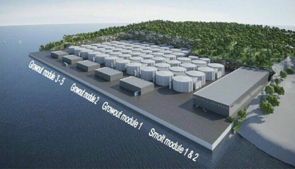 Salfjord planlegger et nytt landbasert oppdrettsanlegg på Tustna, Norconsult undersøker om anlegget kan gi grobunn for annen næring i tillegg til fiskeproduksjon. Illustrasjon: Norconsult