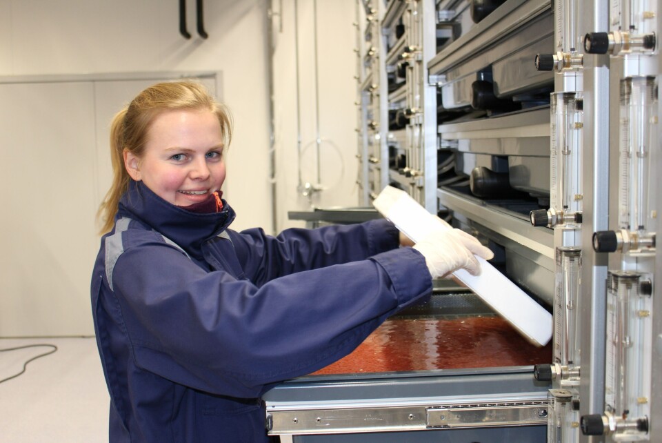 Trine Grimstad viser frem rognkornene som skal settes ut i Havfarm i 2020. Foto: Nordlaks.