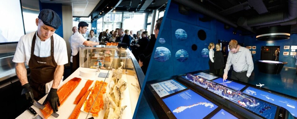 NORSKE VISNINGSANLEGG