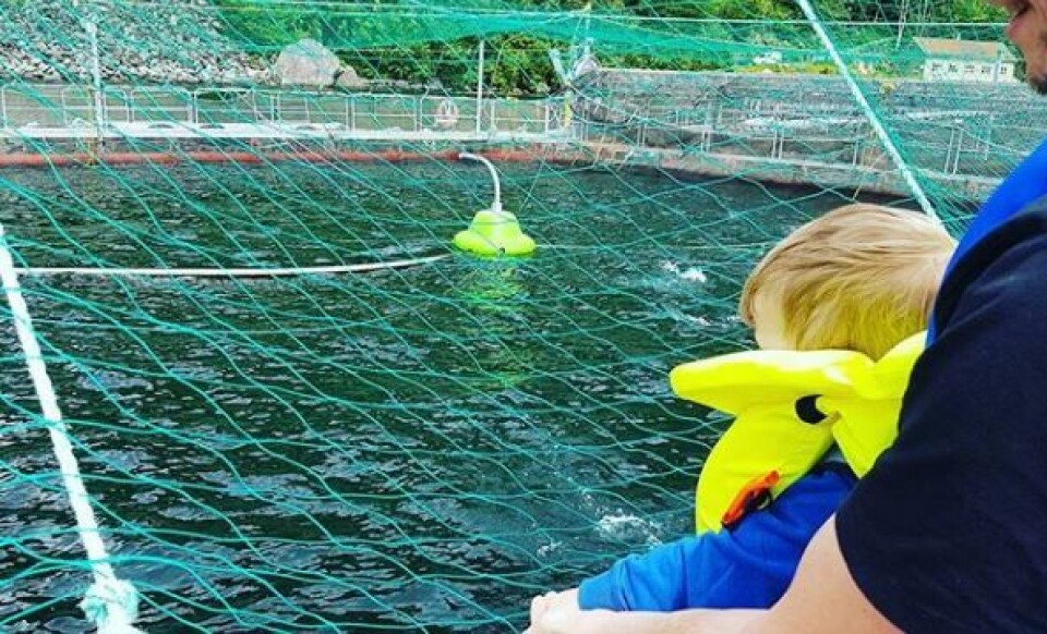 NORSKE VISNINGSANLEGG