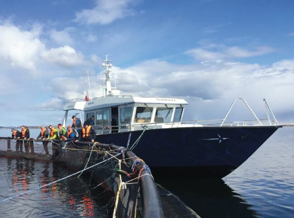 NORSKE VISNINGSANLEGG