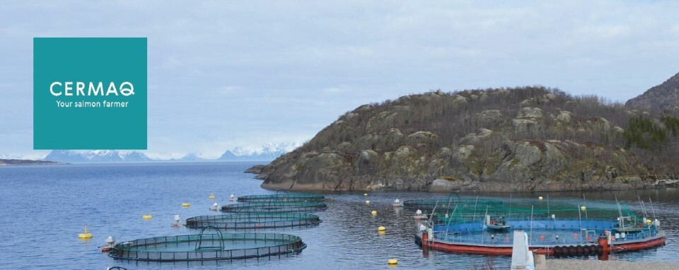 NORSKE VISNINGSANLEGG