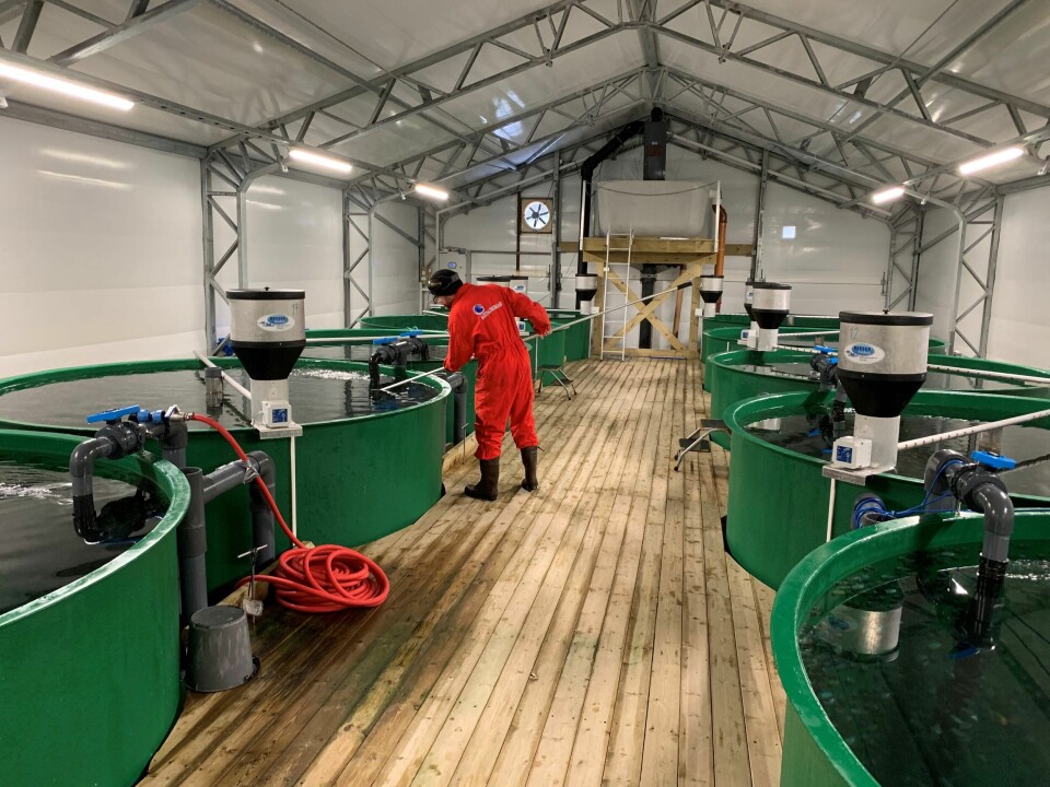 Akvafarm rensefisk produksjon foregår i totalt 20 kar og har ca. 150 m3 karkapasitet. Foto: Akvafarm. Akvafarm rensefisk produksjon foregår i totalt 20 kar og har ca. 150 m3 karkapasitet. Foto: Akvafarm.