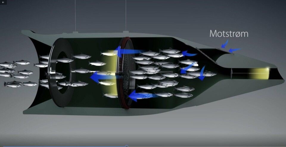 Fisken skyves fremover av et skyveskott. En og en fisk går så inn i det fremste kammeret der den bedøves, scannes og eventuelt avluses. Fisken skyves fremover av et skyveskott. En og en fisk går så inn i det fremste kammeret der den bedøves, scannes og eventuelt avluses.