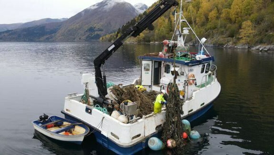 Blåskjellanleggene har stått i sjøen uten eiere og tilsyn i flere år – og utgjør skjulte farer for både skipstrafikk og miljø. Kystverket leder nå et opprenskingstokt på Vestlandet for å fjerne mange av disse. Foto: eSEA Marine