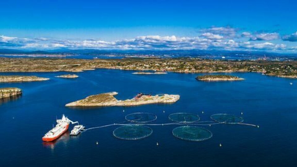 Nettverk fjord- og kystkommuner (NFKK) er fornøyd med produksjonsavgiften. Foto: NFKK.