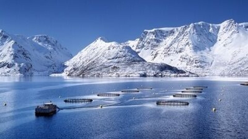 Lerøy har hatt rekordlave tall på rømming i 2018. Oppdrettsanlegg i Nord-Norge. Illustrasjonsfoto: Lerøy Seafood Group AS.