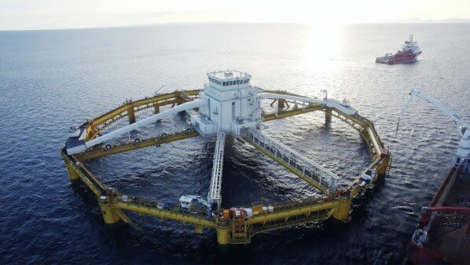 Foto: Ocean Farming.