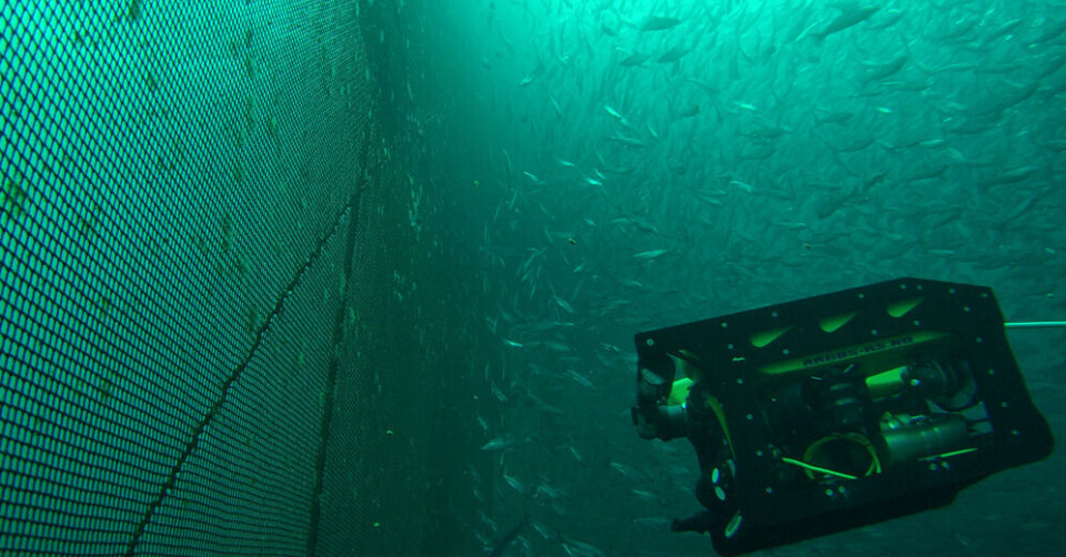 Notinspeksjon ved bruk av ROV. Foto: SINTEF Ocean.
