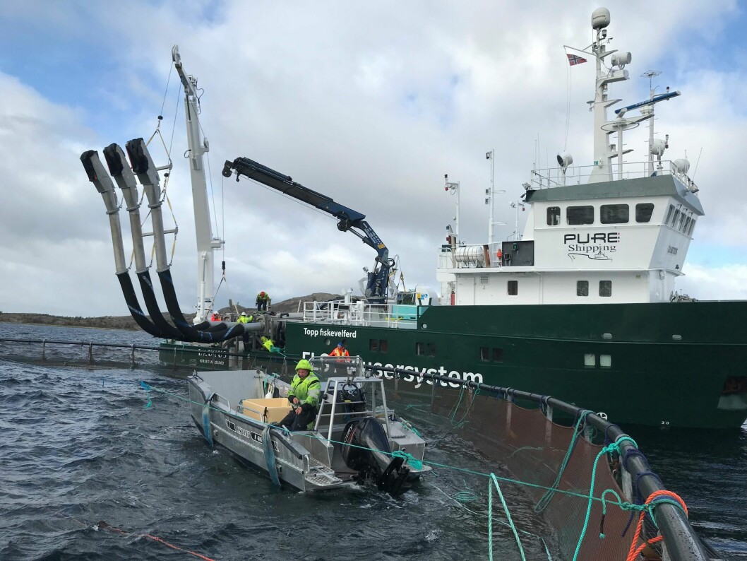 En av båtene, MS Lautus er for tiden i kontrakt med en oppdretter i Nordland. Foto: Pure Shipping