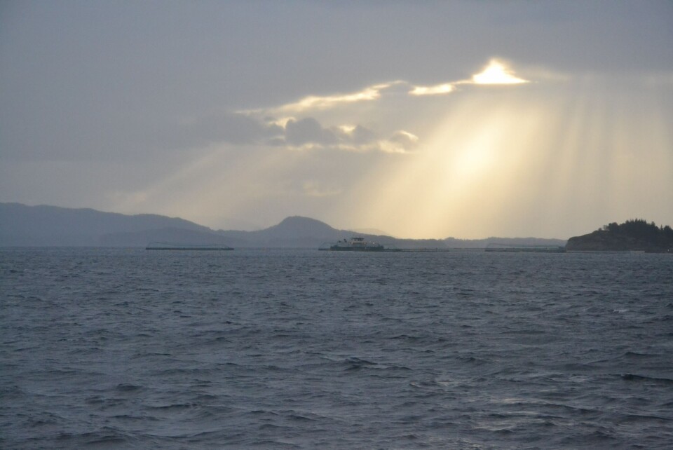 Illustrasjonsfoto av anlegg i Vestland. Foto: Magnus Petersen/Kyst.no.