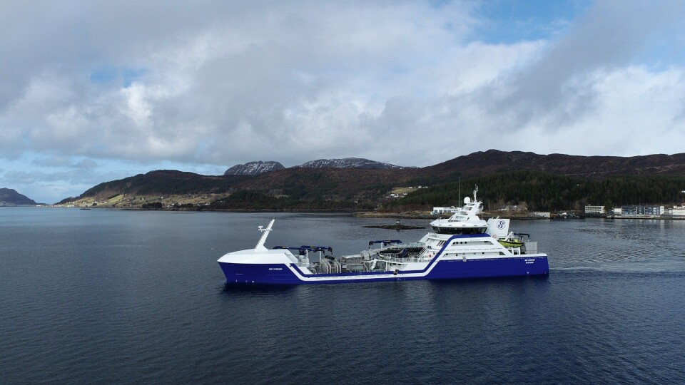 Rostein sier at samarbeidet med GIEK har vært helt nødvendig for at vi fortsatt kan kontrahere båter i Norge. Foto: Larsnes Mek. Verksted.