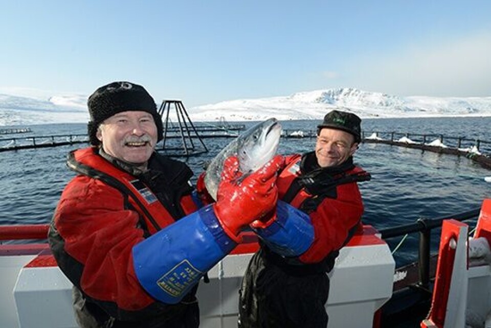 Røktere, holder laks, merd, Finnmark, NRS