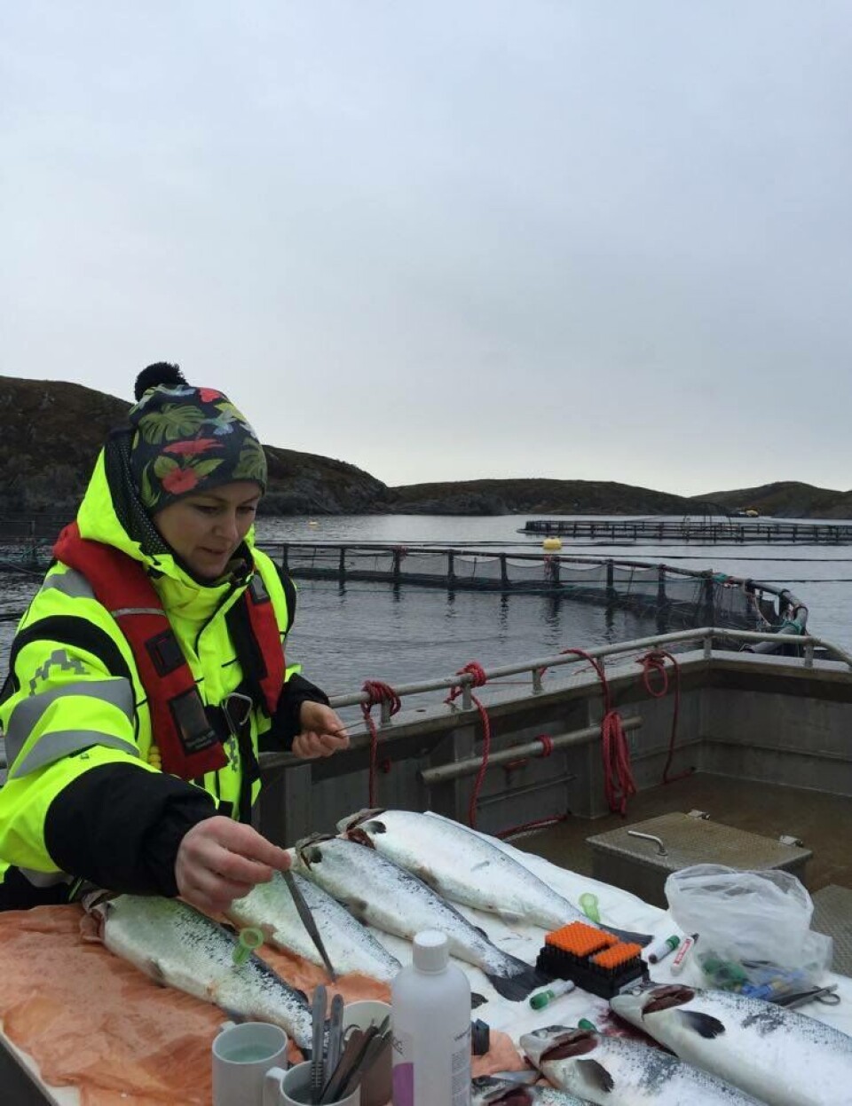 Kristin Ottesen i arbeide. Foto: HaVet.