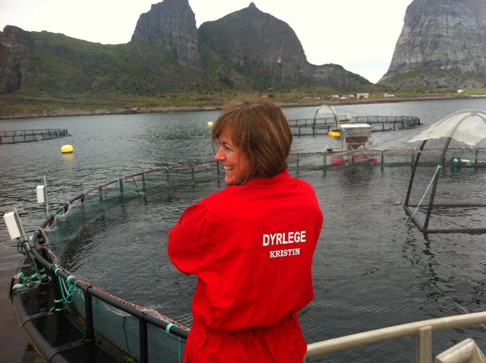 Kristin Ottesen er veterinær i fiskehelsetjenesten HaVet. Foto: HaVet.