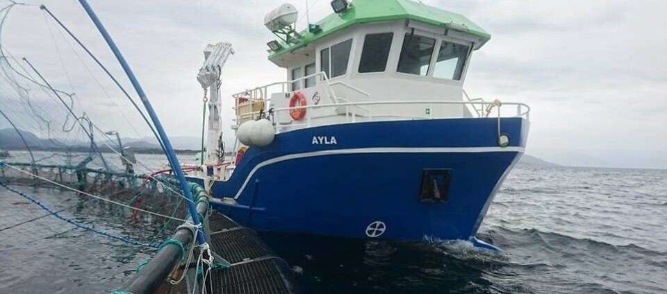 Fartøyet «Ayla» ute på oppdrag der den utfører spyling på nøtene til oppdrettsanlegg. Foto: Yatek.