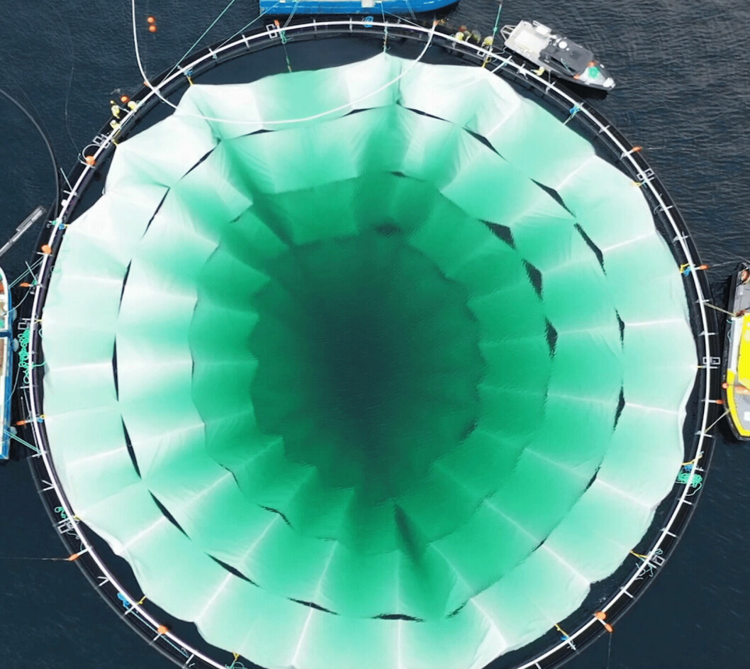 Fjord Solutions har utviklet et nytt merdkonsept som de lanserte på havbruksmessen Aqua Nor. Dronefotoet viser slamoppsamler i sjøen hos oppdrettsselskap. Foto: Fjord Solutions.