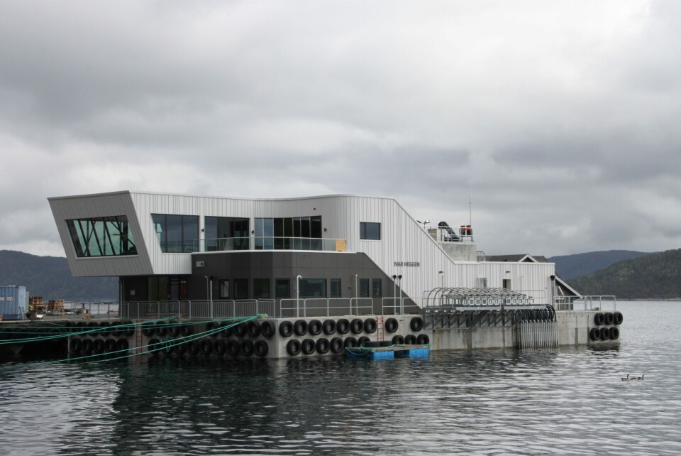 Hofseth sin visningsflåte blir nå fraktet Holmeset på Grytastranda der den har blitt bygget til Vindsnes utenfor Valldal der den skal ligge. Den skal være ferdig ankret opp 19.mai. Foto: Marina Solutions.