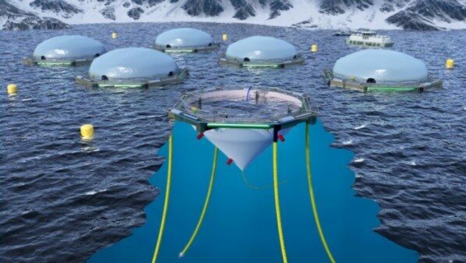 Skisse av Cermaqs konsept FlexiFarm. Kilde: Cermaq.