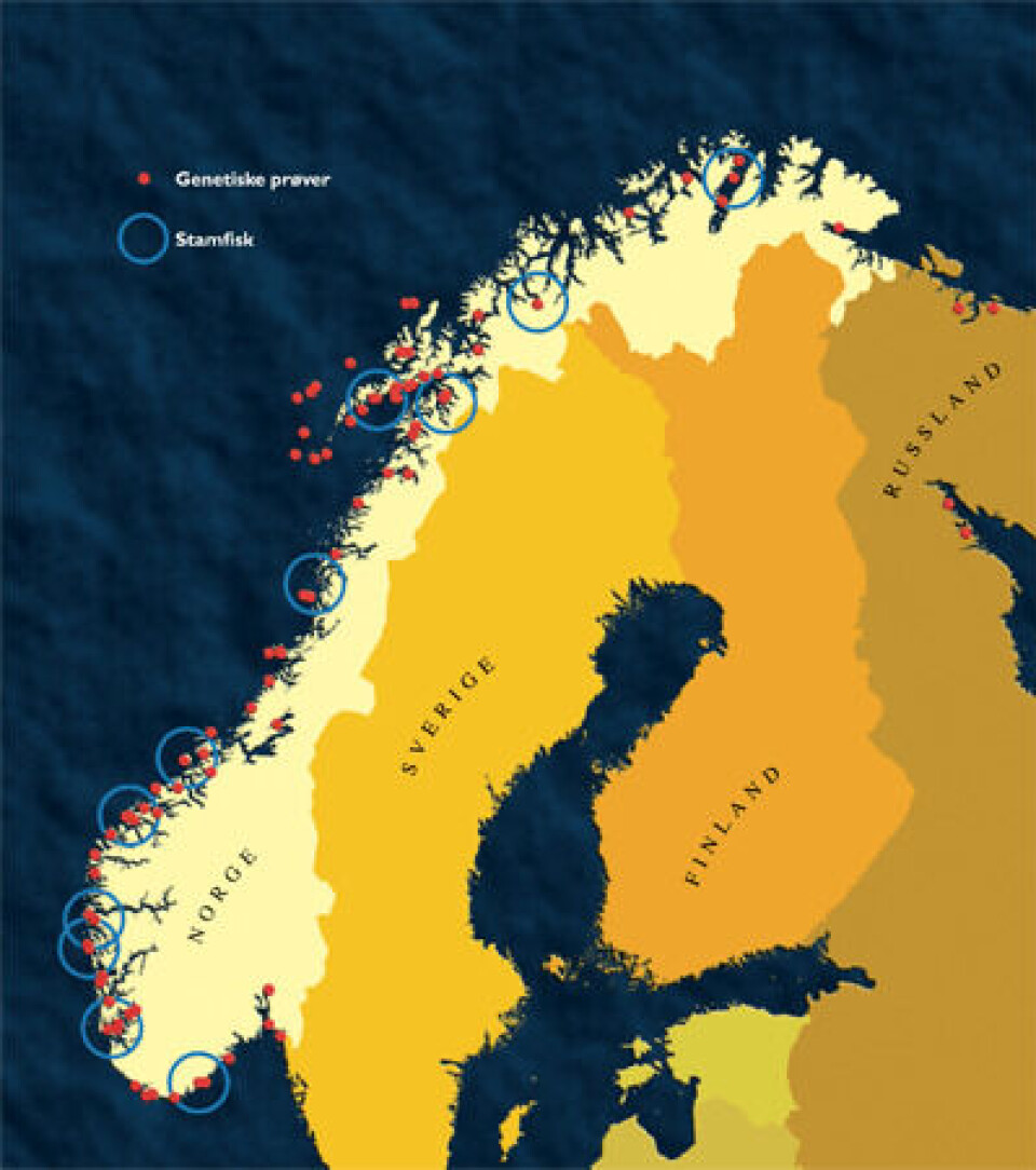stamfiskkart