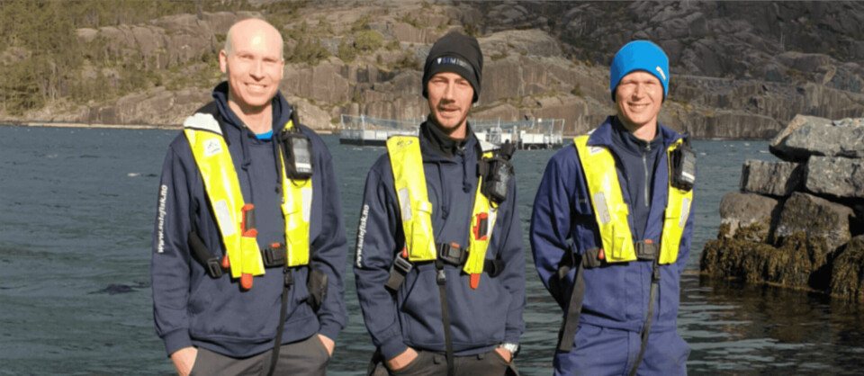 Sulefisk har tilsett tre nye fjes i selskapet. Frå venstre; Trond Osland, Bence Cser og t.h Fredrik Netland. Foto: Sulefisk