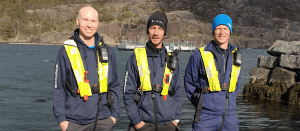 Sulefisk har tilsett tre nye fjes i selskapet. Frå venstre; Trond Osland, Bence Cser og t.h Fredrik Netland. Foto: Sulefisk Sulefisk har tilsett tre nye fjes i selskapet. Frå venstre; Trond Osland, Bence Cser og t.h Fredrik Netland. Foto: Sulefisk