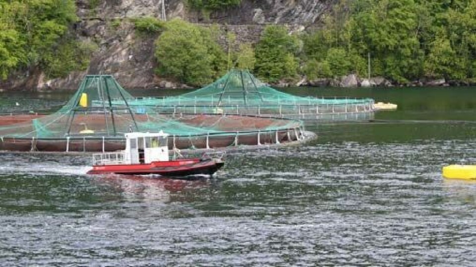 En av lokalitetene som drives av Tombre Fiskeanlegg AS, Arkivfoto.