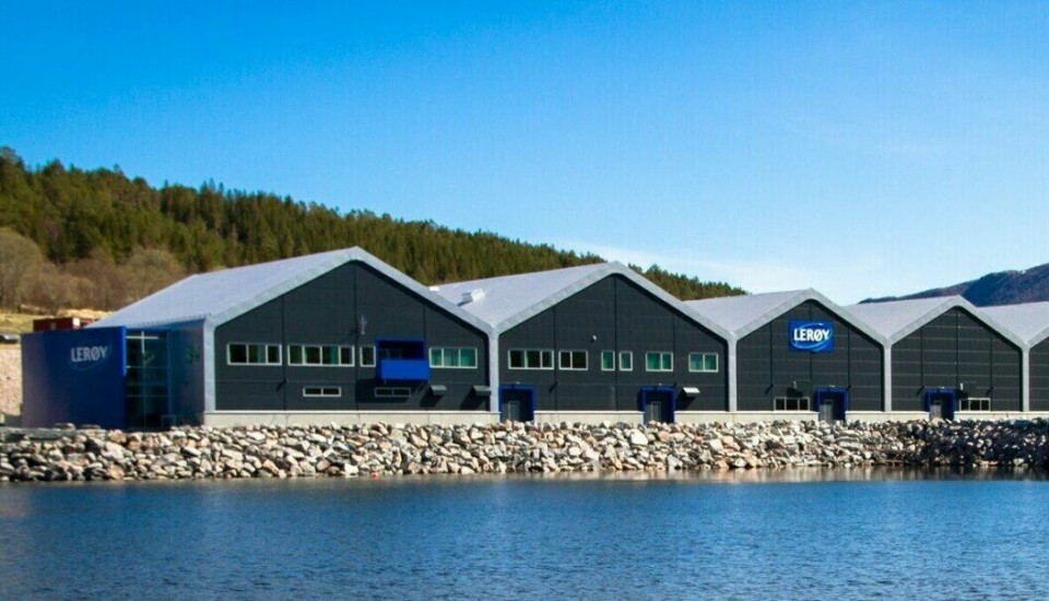 Lerøys RAS-program gir fire måneder praksis ved hvert av Lerøys tre store settefiskanlegg på Kjærelva, Belsvik (bildet) og Laksefjord basert på resirkuleringsteknologi, og vil gi en grundig opplæring i moderne industriell produksjon av laks på land. Foto: Lerøy Seafood Group
