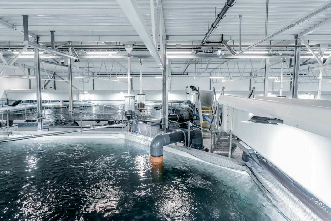 Første byggetrinn ble ferdig hos Tytlandsvik Aqua i 2019, bare fem år etter at ideen om selskapet startet. . Foto: AKVA group