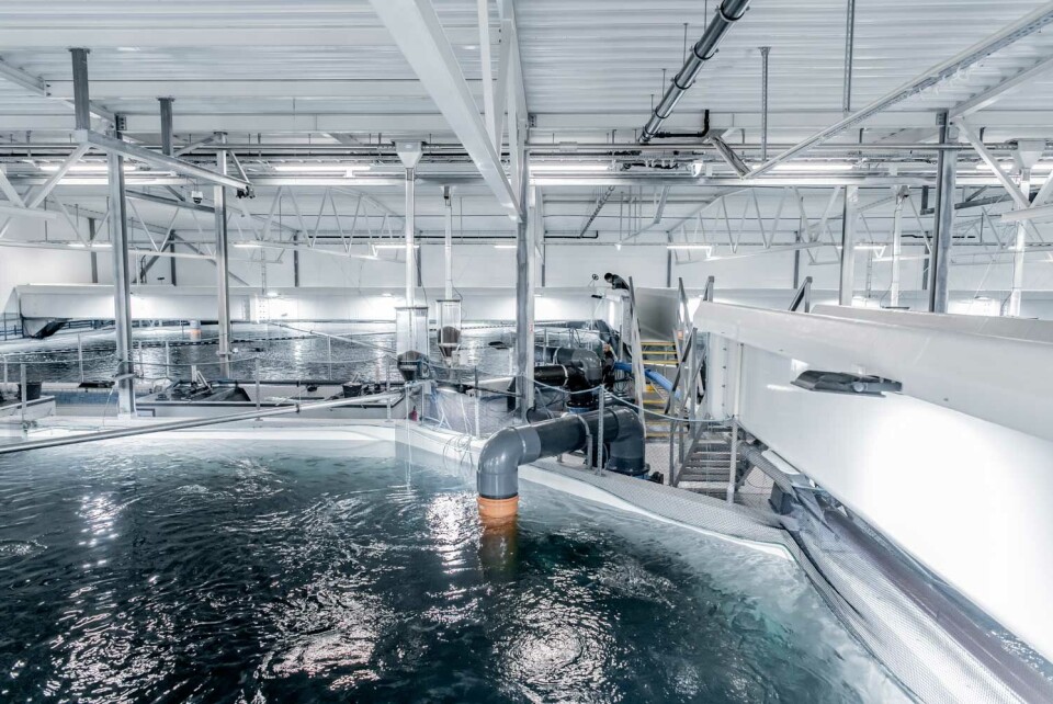 Anlegg hos Tytlandsvik Aqua. Foto: AKVA group