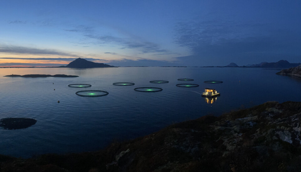 Norcod sin lokalitet for torskeoppdrett i Frosvika, Meløy kommune.