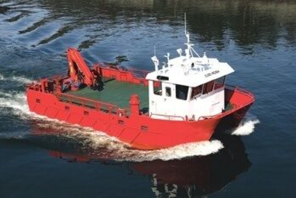 M/S «COD ROSA»