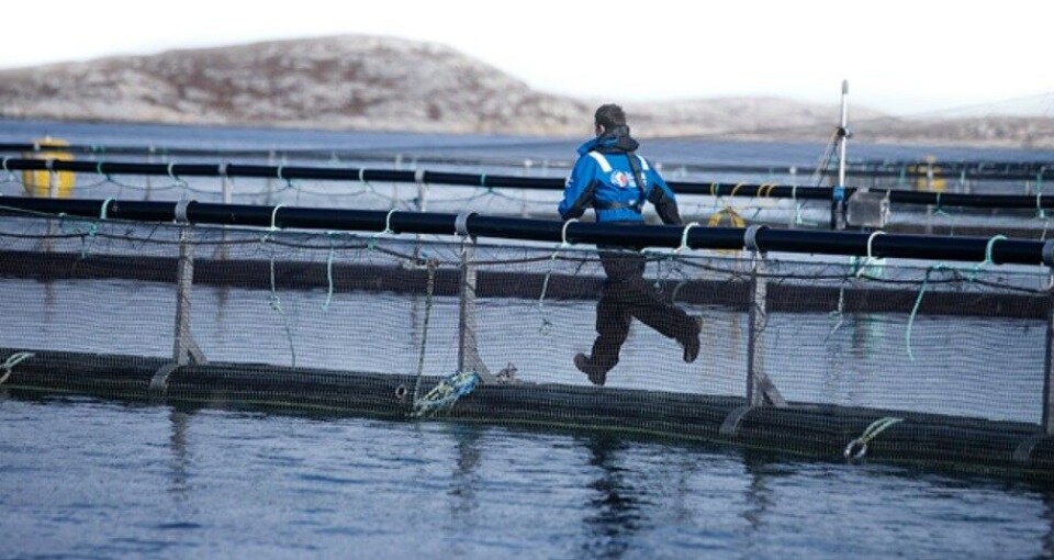 Det var på Frøya det onsdag ble rapportert om rift i not. Illustrasjonsfoto: Salmar