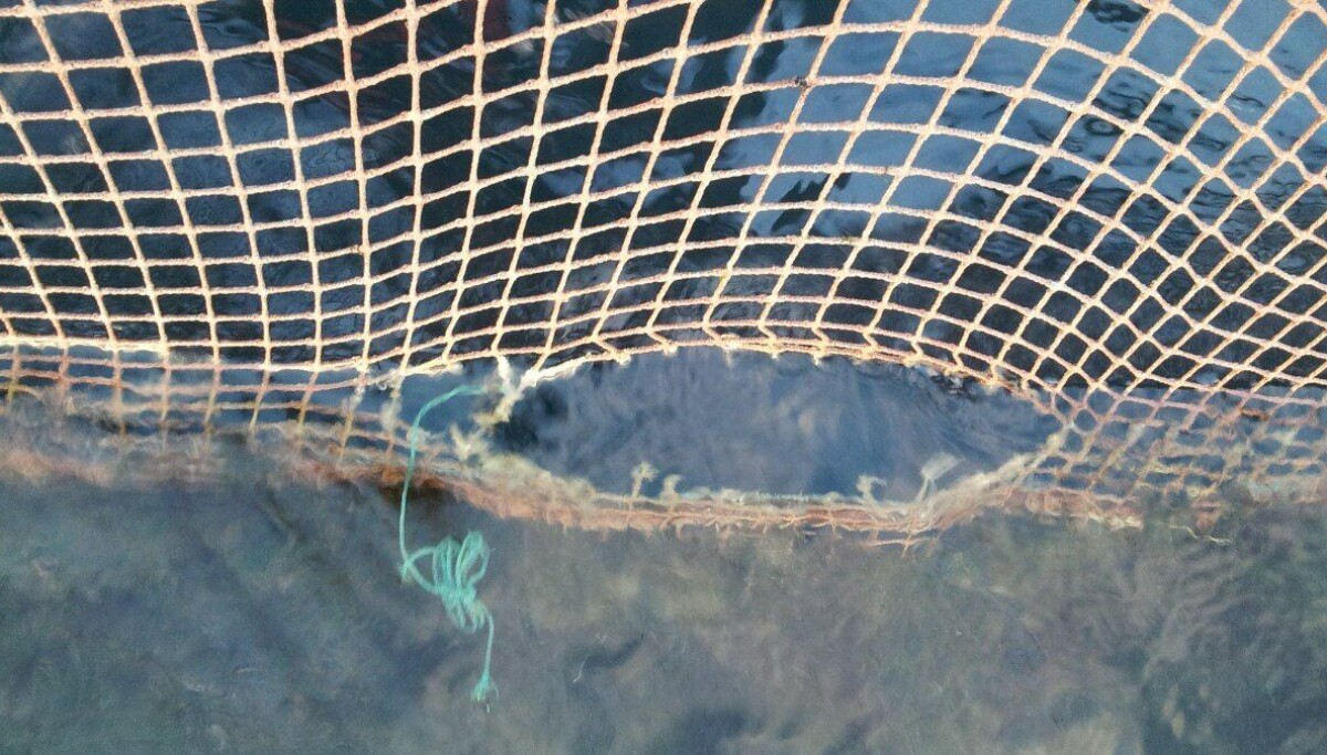 - En rekke utfordringer knyttet til notinspeksjoner med ROV