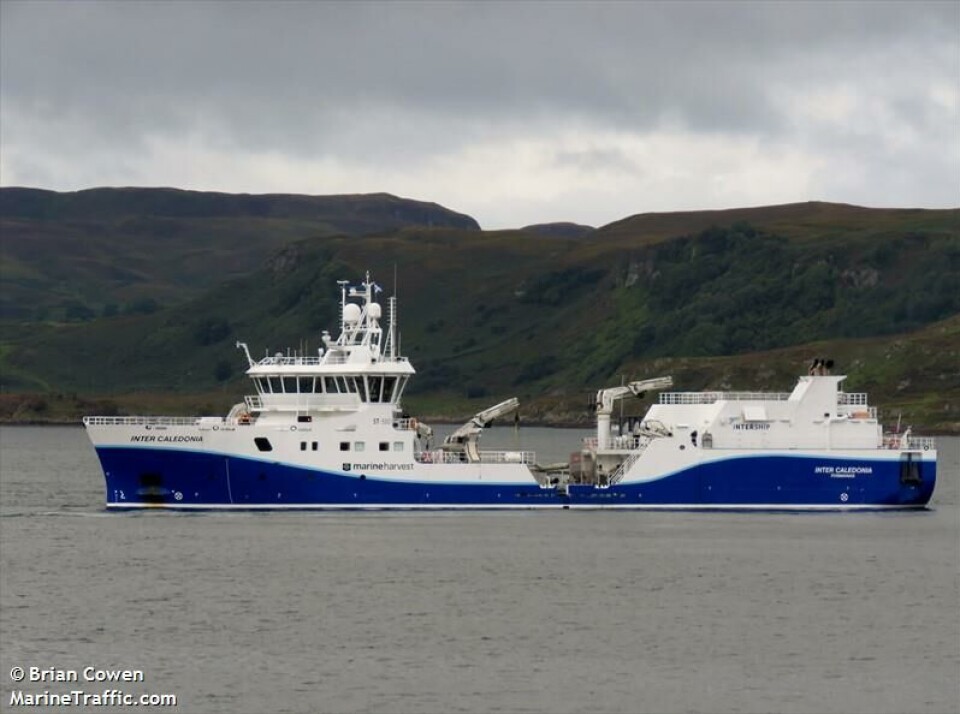 Fartøyet Inter Caledonia eies av Intership, og opererer i Skottland for Marine Harvest. Foto: Intership.