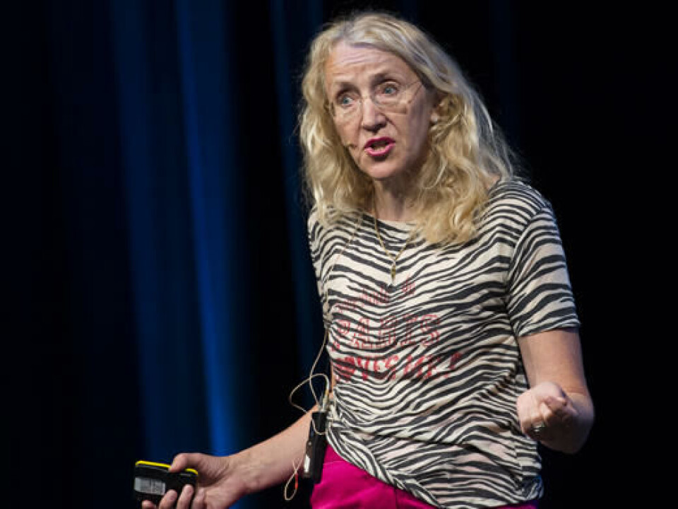 - Sykdommen er svært alvorlig for yngel av regnbueørret hvor den kan gi høy akutt dødelighet, sier Brit Hjeltnes. Foto: Linn Therese Skår Hosteland.