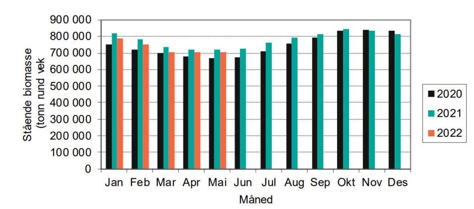 Stående biomasse med laks tre siste år per mai 2022