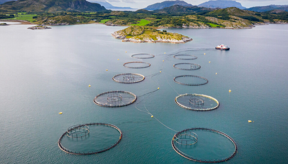 Tar du ansvar for lokaliteten Sundsøy?