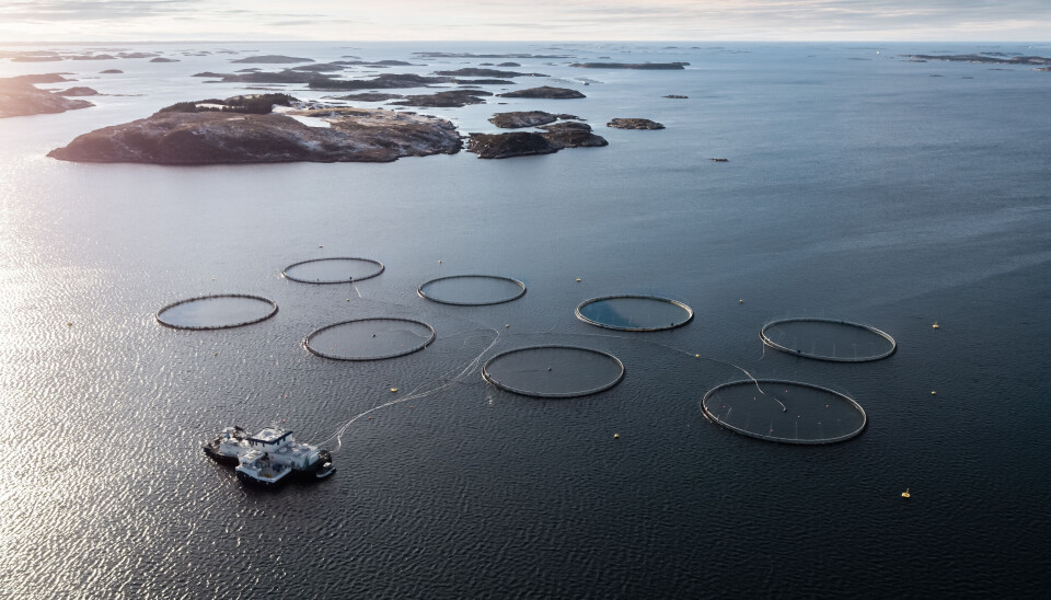 En av Norcod sine lokaliteter