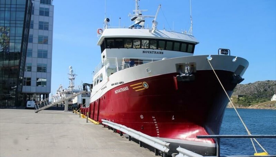 Lokaliteten ligger ytterst i Freifjorden i Kristiansund kommune. Lokaliteten ligger ytterst i Freifjorden i Kristiansund kommune.