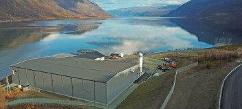 Kjøper aksjemajoriteten i Billund Aquaculture Norway