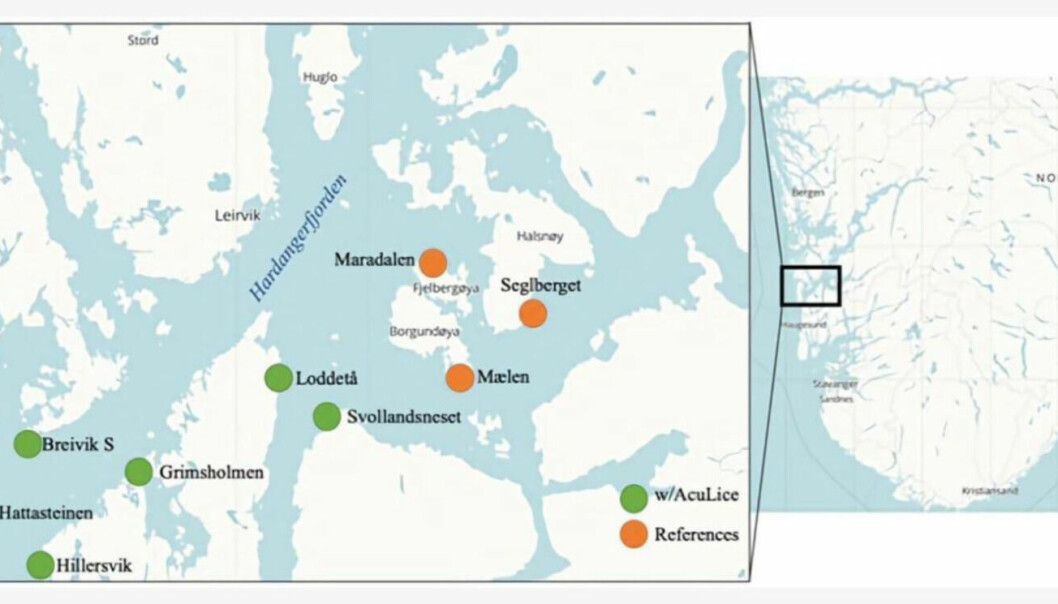 Forskere brukte AcuLice på seks lokaliteter i Hardangerfjorden og sammenlignet resultatene med tre andre.