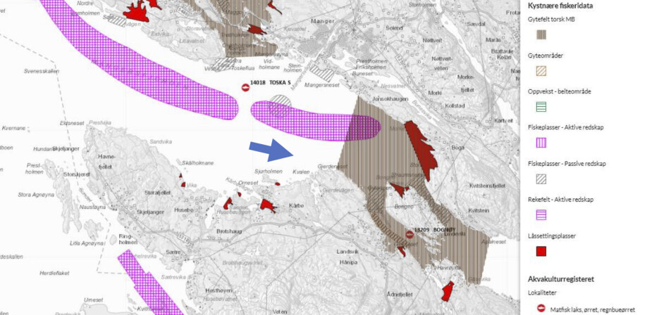 Utsnitt fra Fiskeridirektoratet sitt kartverktøy.