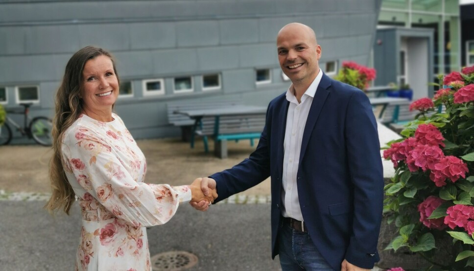 Som ei mellombels løysing inngår Blått kompetansesenter vest AS avtale med DeFacto Rekneskap AS om oppstart og dagleg drift.