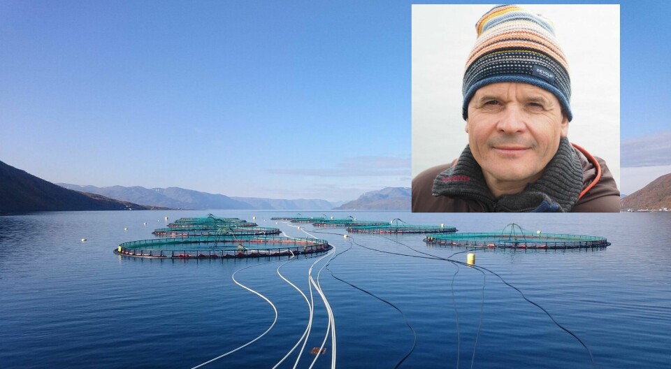Roger Pedersen er kommunikasjonsansvarlig i Grieg Seafood Finnmark. Han sier selskapet jobber for å innhente mer kunnskap om ILA. Fotomontasje: Kyst.no