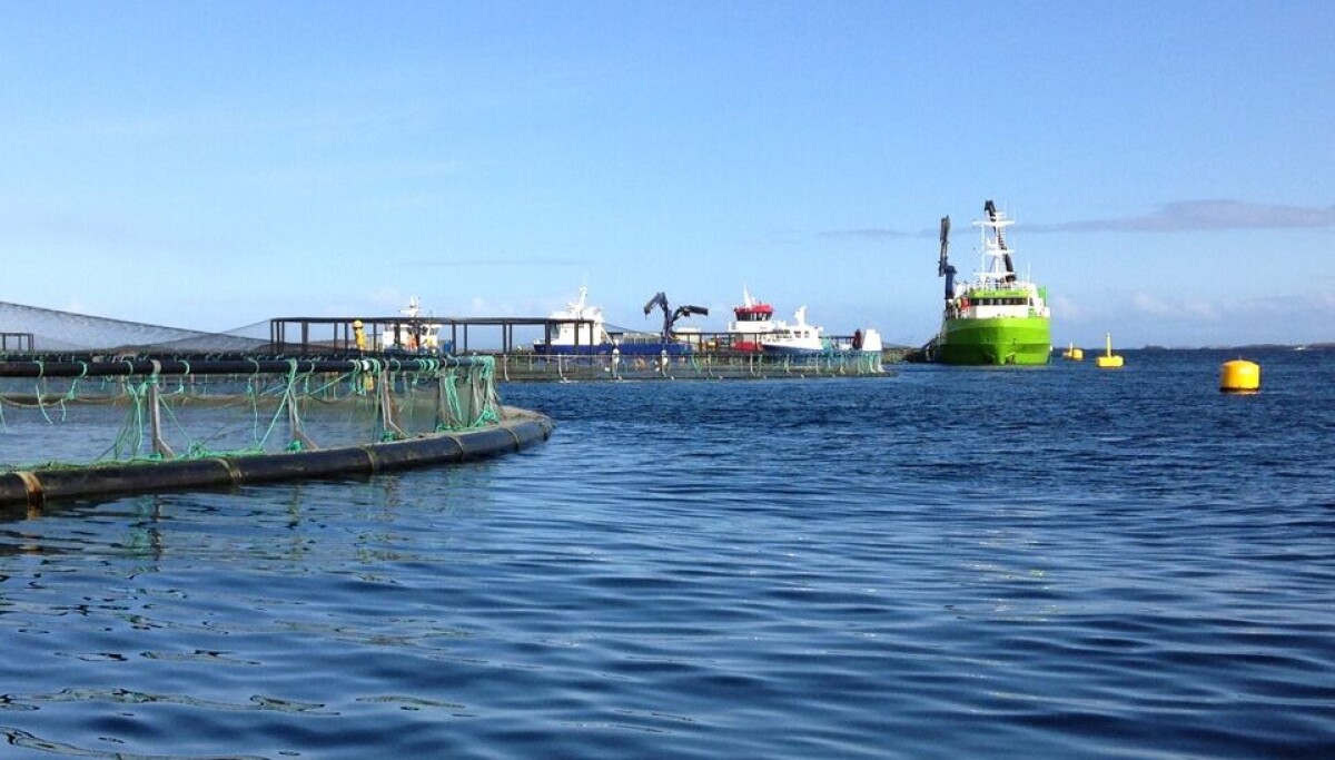 - Behov for ROV-piloter med erfaring innen havbruk