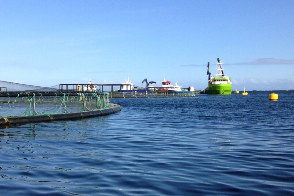 Naviaq som tilbyr verktøy for samhandling mellom oppdretter og servicetilbydere. Foto: Naviaq.