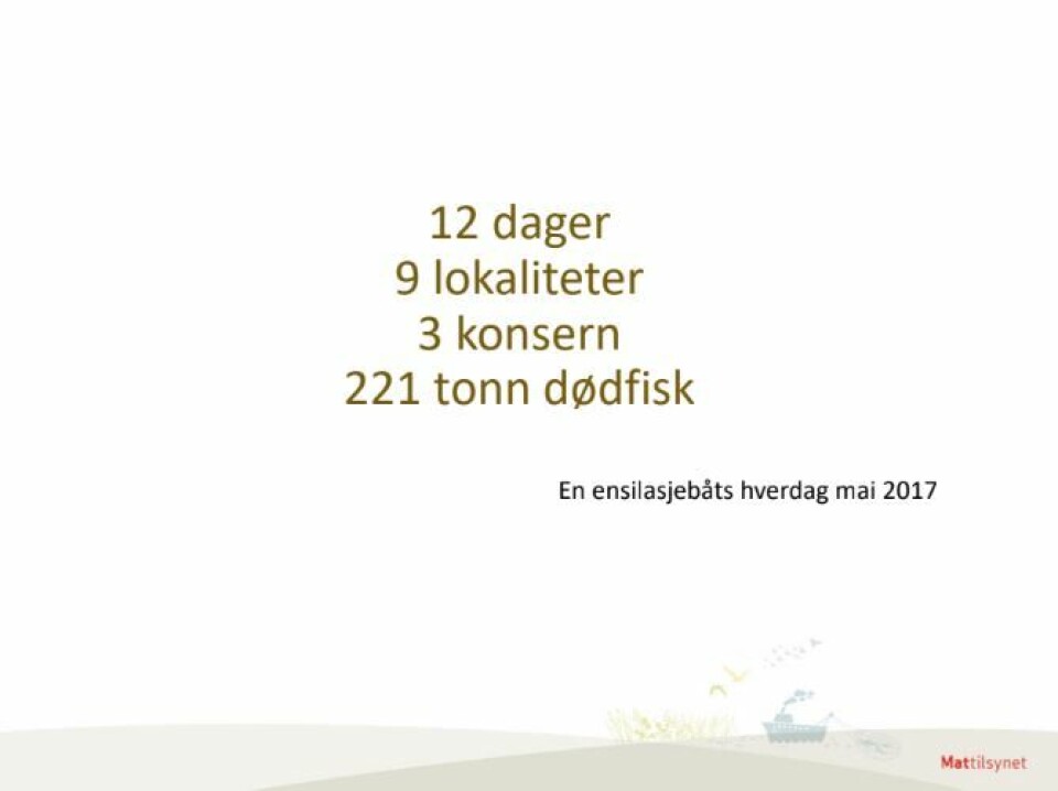 Et av klippene fra presentasjonen til Aud Skrudland. Kilde: Mattilsynet.