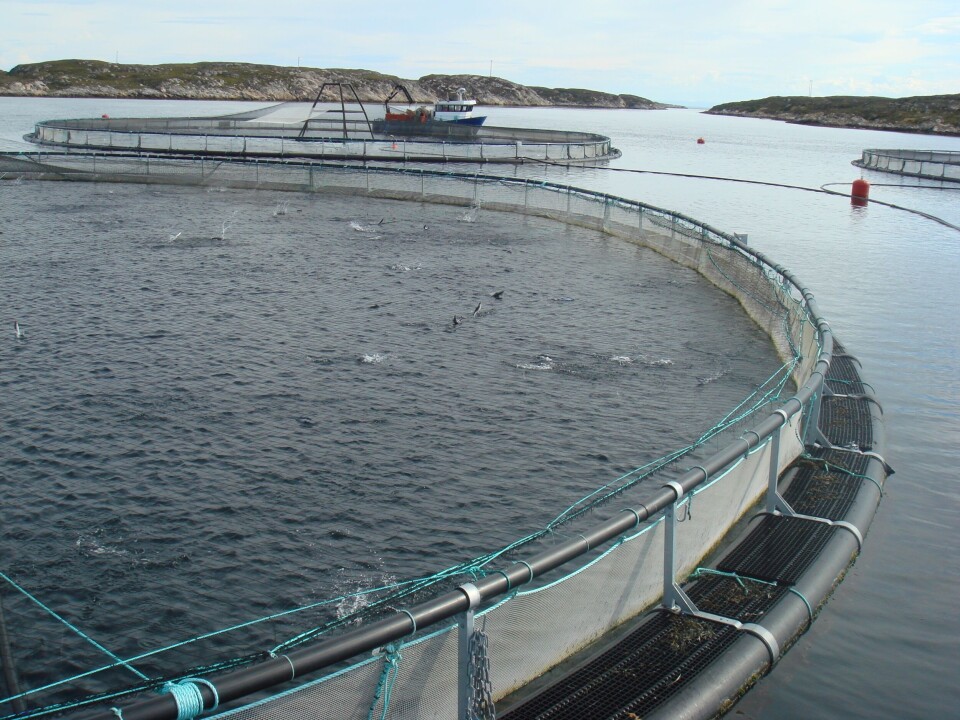 Aqualine merd