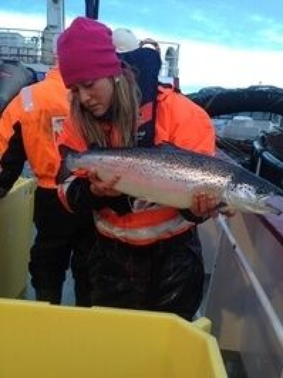 Salmonor kunne konstatere at lusespyleren ga god effekt. Foto: Salmonor